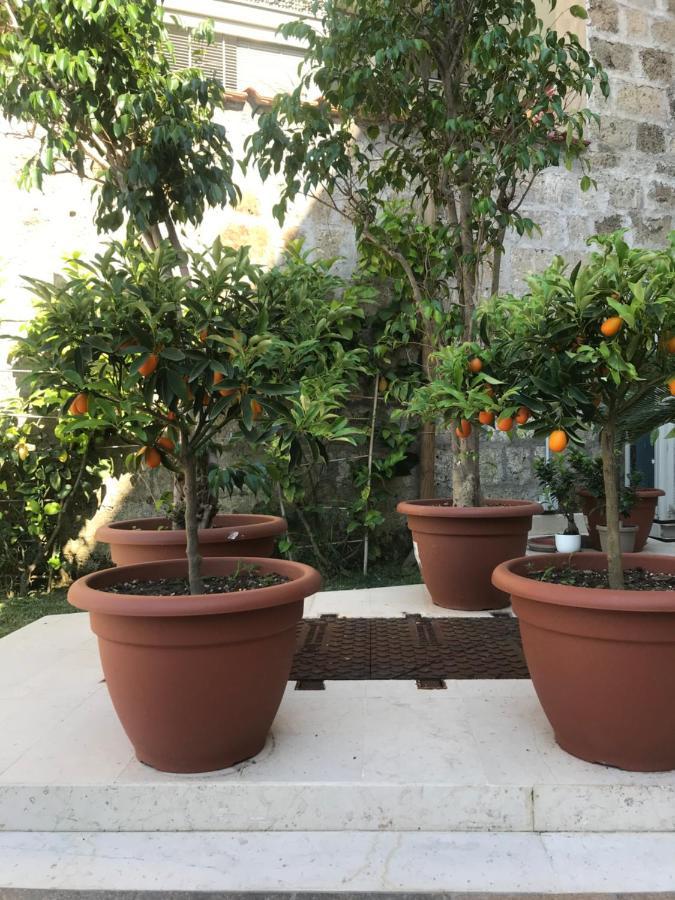Il Cavaliere Bed And Breakfast Caserta Ngoại thất bức ảnh